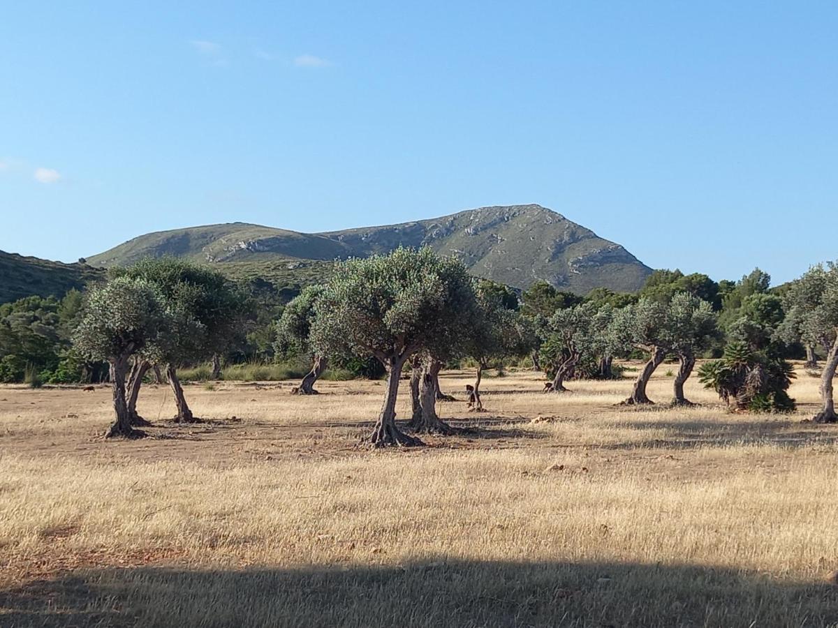 דירות קולוניה דה סנט פרה El Nido De Betlem מראה חיצוני תמונה